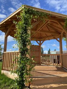 Kiosque en bois