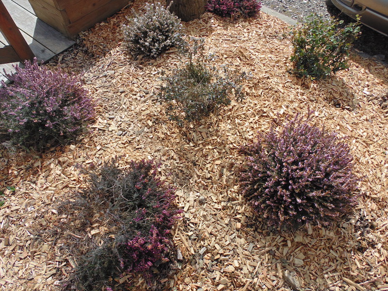 DEKOMULCH Copeaux de Bois et Paillage Naturel pour Jardins