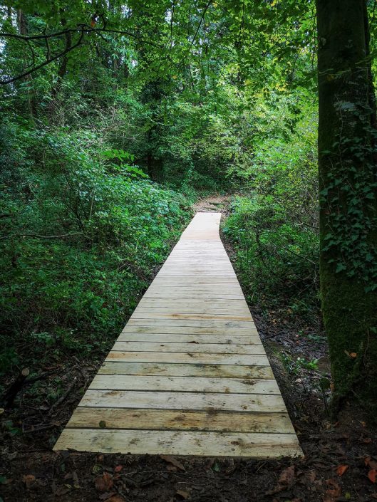 Passerelle en bois Dinan 2