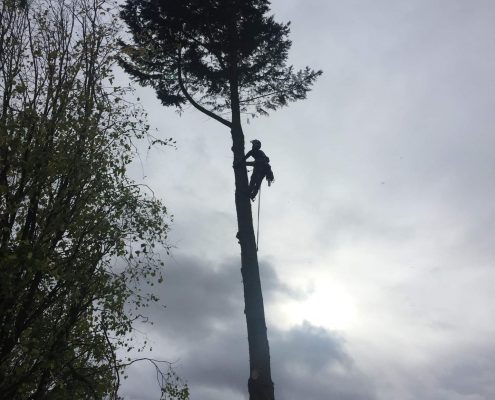 Démontage sécurisé