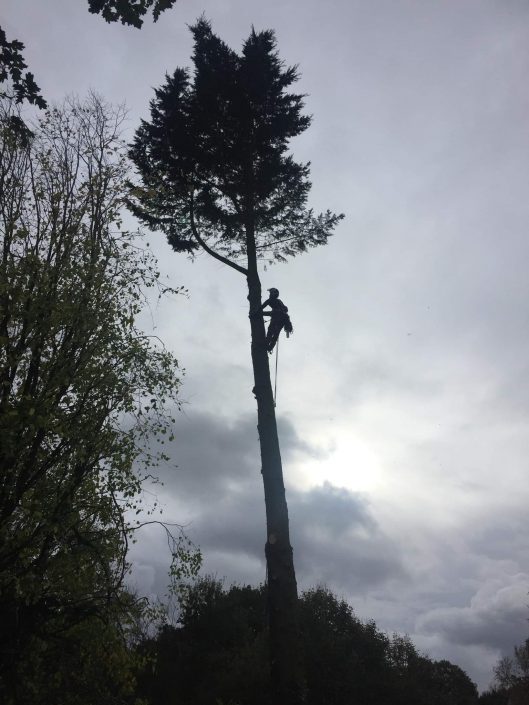 Démontage sécurisé