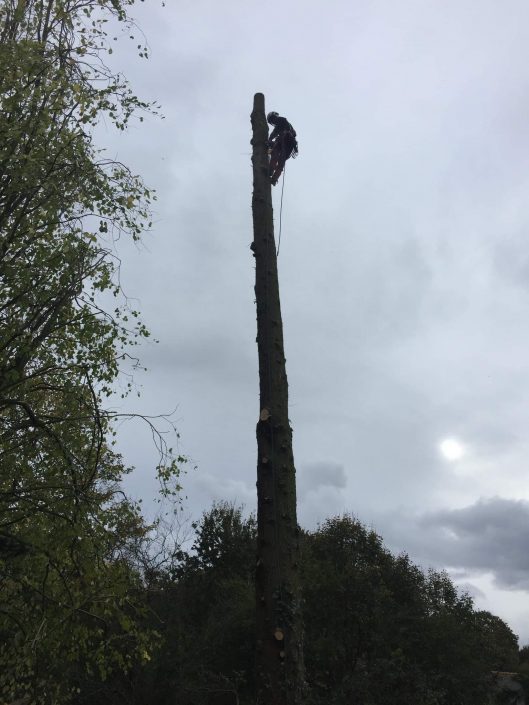 Démontage sécurisé