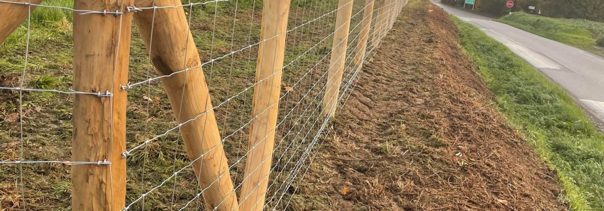 Clôture grillage mouton Lamballe - Alain Hervé Travaux Forestiers