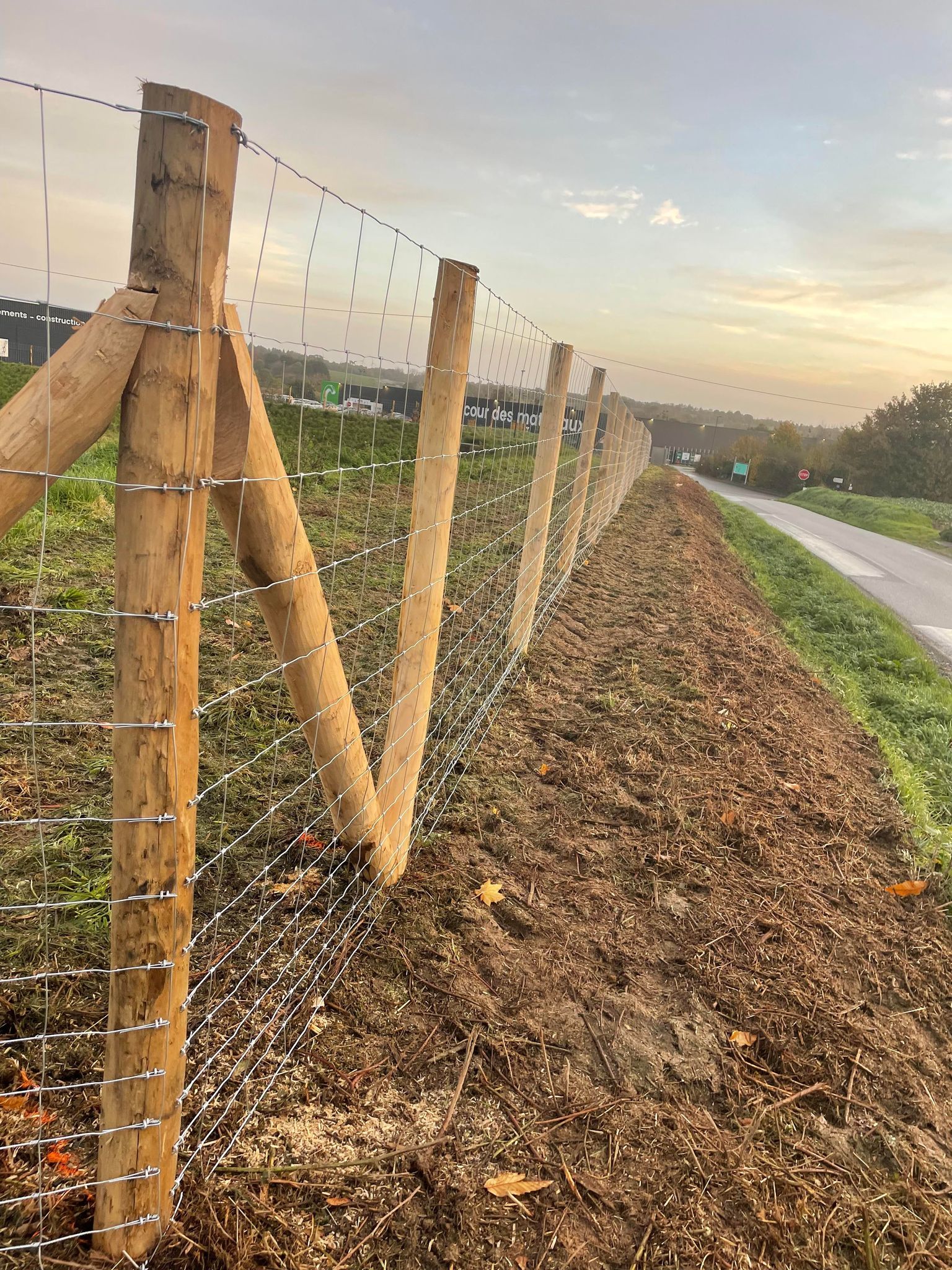 Clôture grillage mouton Lamballe - Alain Hervé Travaux Forestiers