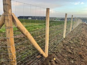 Clôture grillage mouton Lamballe - Alain Hervé Travaux Forestiers