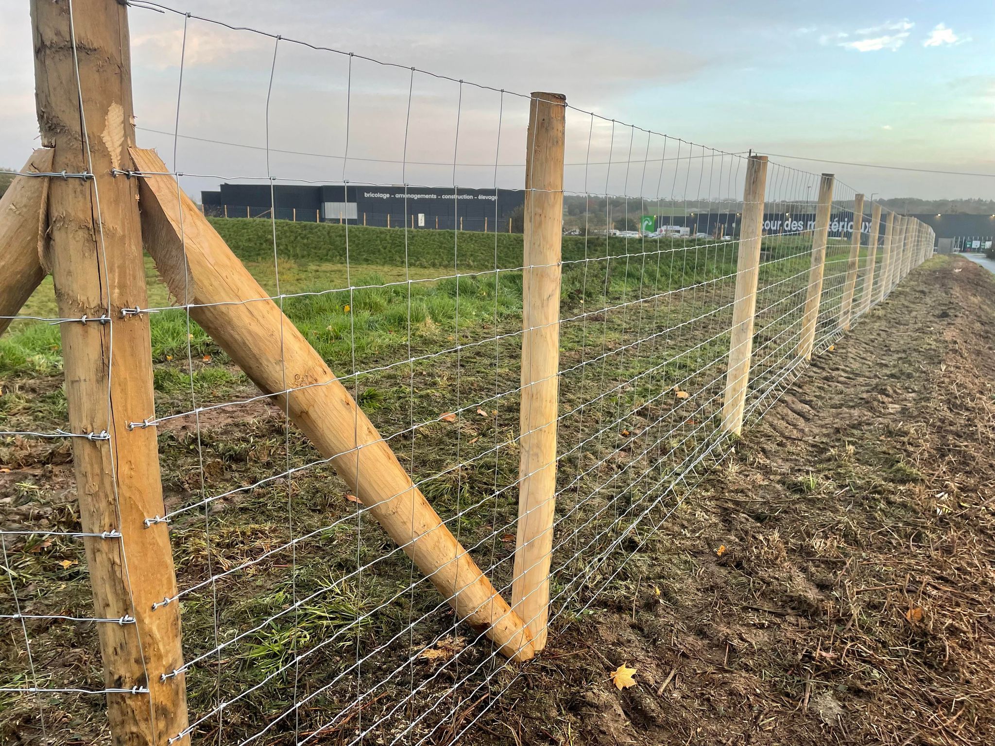 Clôture grillage mouton Lamballe Alain Hervé Travaux Forestiers