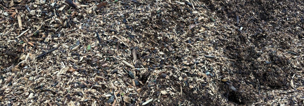 Paillage type BRF