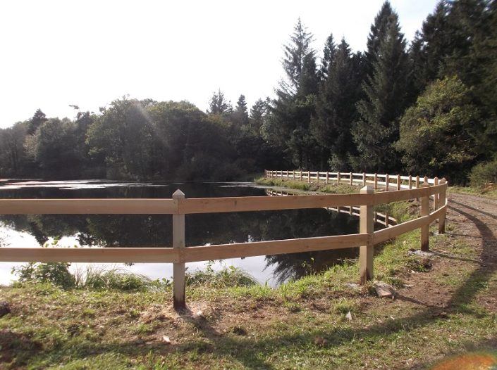 Clôture Châtaignier et Douglas Clôture Châtaignier et Douglas